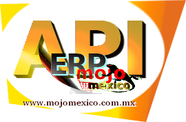 ERP API Mojomexico